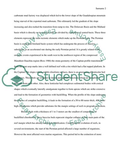 Development of the Permian Reef