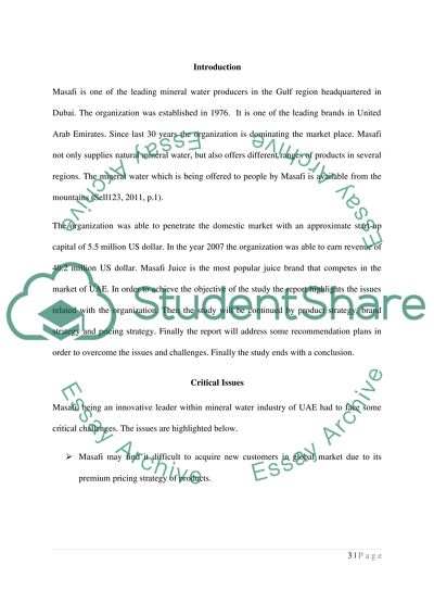 Masafi Marketing Plan