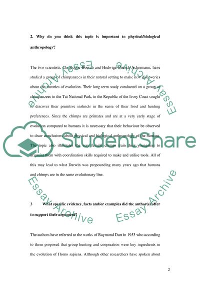 Dim Forest Bright Chimps