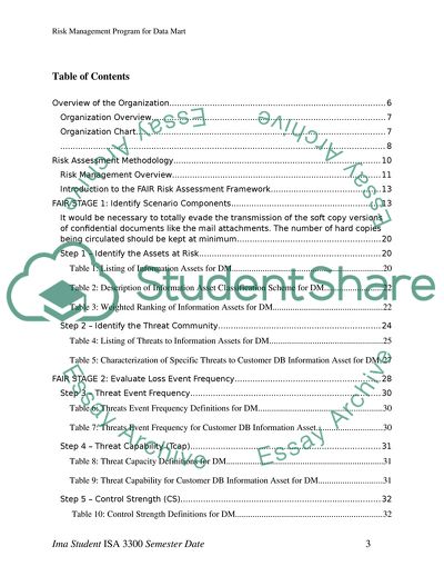 Risk Management Program for Data Mart