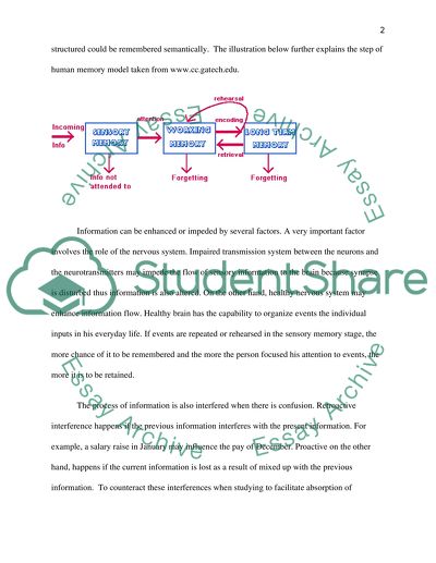 Understanding memory from beginning to end