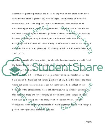 Human Brain Plasticity