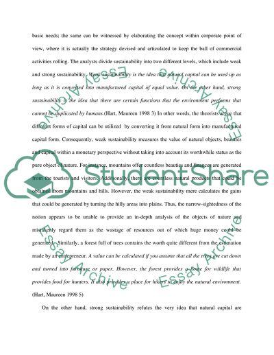 The Term Sustainability