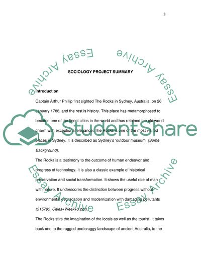 Sociology project summary