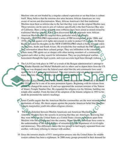 Muslim Families in America