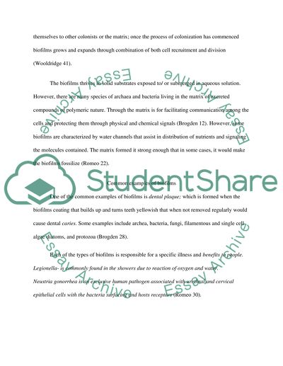 Community Structure and Co-Operation in Biofilms