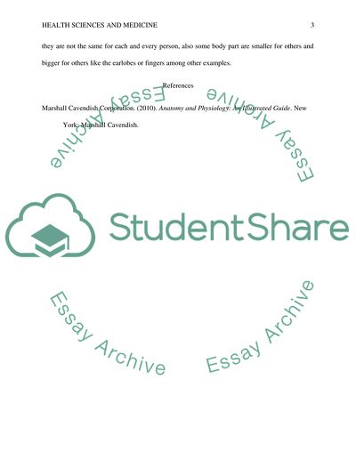 Four Major Themes of Anatomy