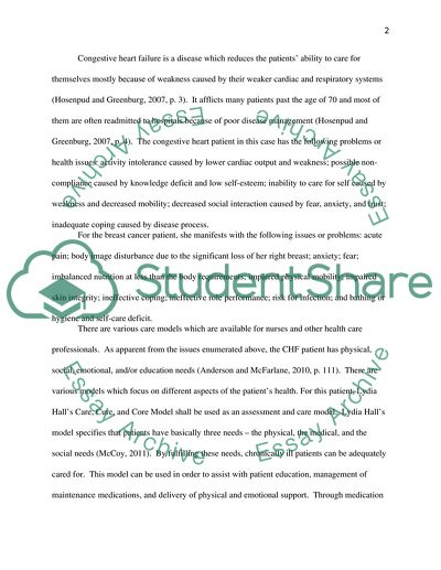 The Role of the Nurse in the Decision-Making Process when Caring for Patients with Complex Needs