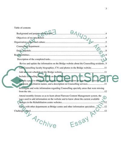 Volunteering at Bridge Substance Misuse Programme