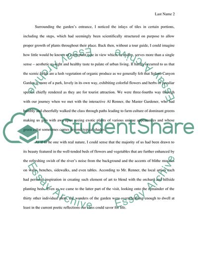 Fieldnotes Write Up on the Solano Canyon Community Garden