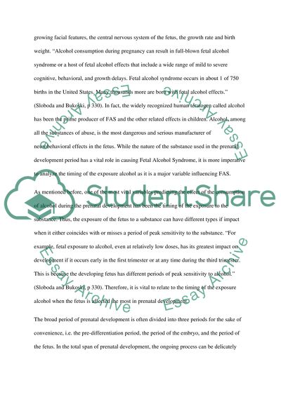 Prenatal Development