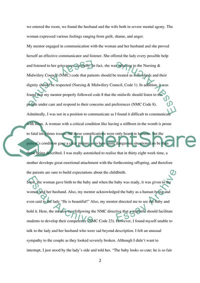 Reflection of a Stillbirth: Clinical Scenario Analysis