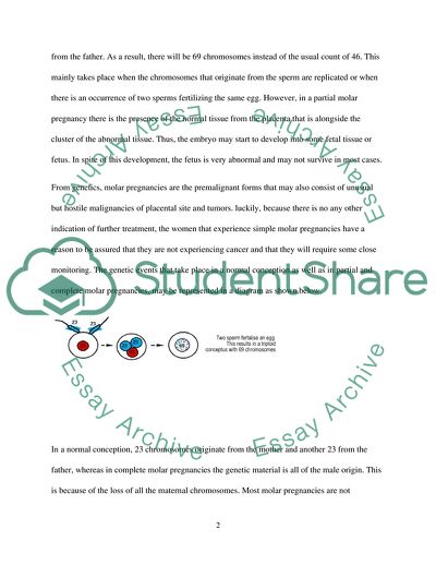 The Origin of Molar Pregnancies, the Consequences on Embryo Development and Molecular Techniques