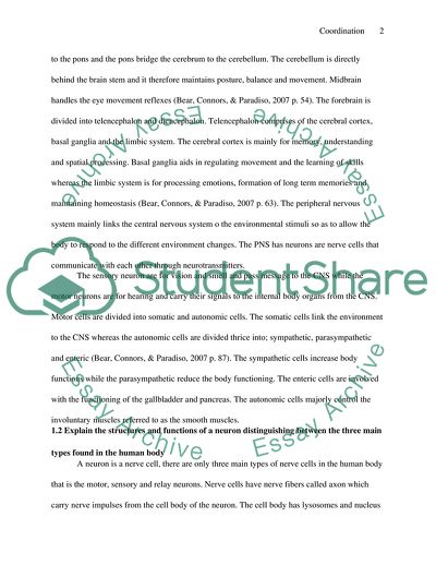 The Functions of the Central and Peripheral Nervous System