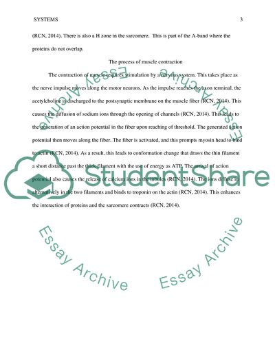 Muscular and Endocrine Systems