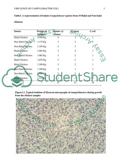 Virulence of campylobacter coli /result,figure and discussion