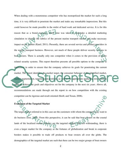 Marketing Simulation Report for the Product PirateEye