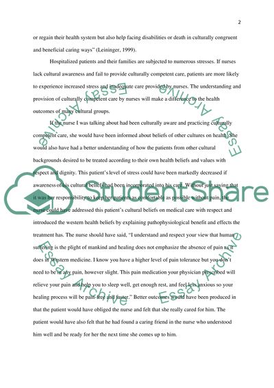 The Need for Multi-Cultural Diversity in the Nursing Practice