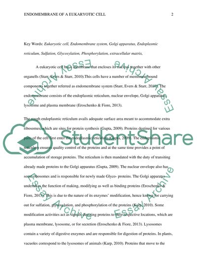 Roles of the Different Parts of the Eukaryotic Cells Endomembrane System in the Production of Proteins