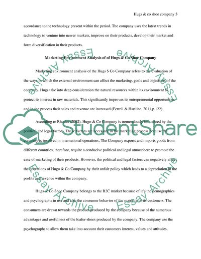 Marketing Environment of Hugs & co