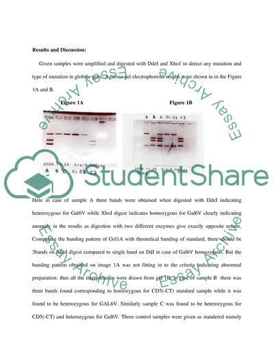 Restriction Fragment Pleomorphism