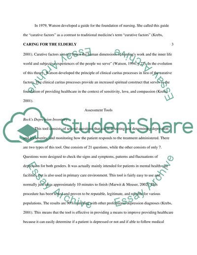 Caring for the Elderly: Assessment Tools Anyalysis