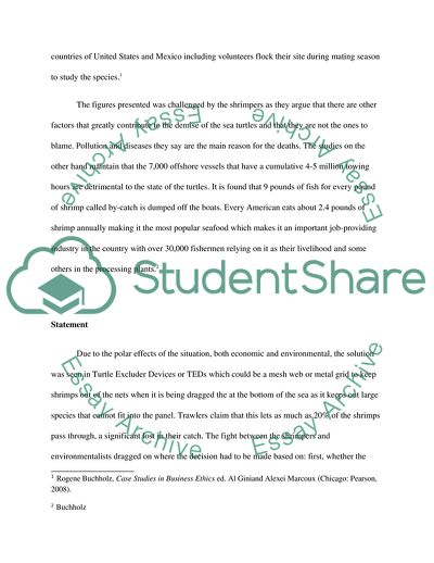 Save the Turtles by Rogene A. Buchholz