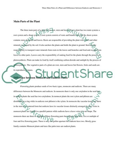 The differences between Eudicots and Monocots plants