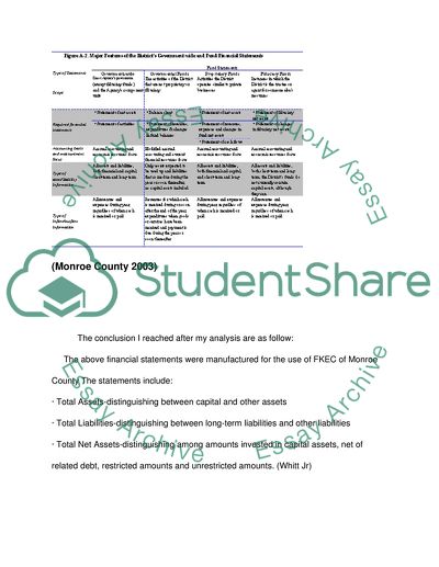 Financial Analysis of a Local Government in South Florida