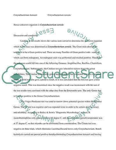 Unknown lab report flow chart and conclusion based on my results provided