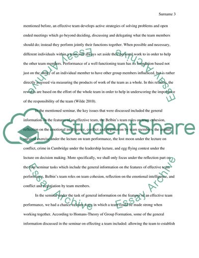 Effective Team and Performance