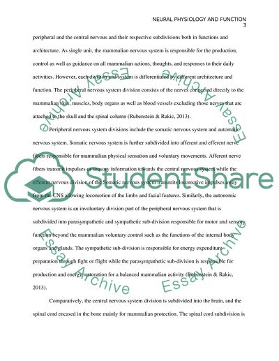 Neural Physiology and Function