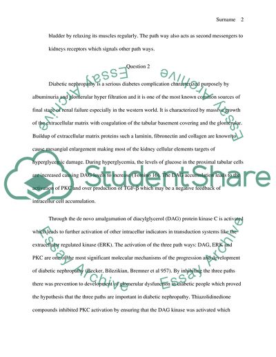 Diacyl Glycerol in the Context of Diabetic Nephropathy