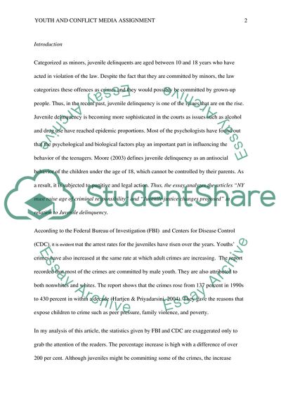 Youth and conflict media assignment