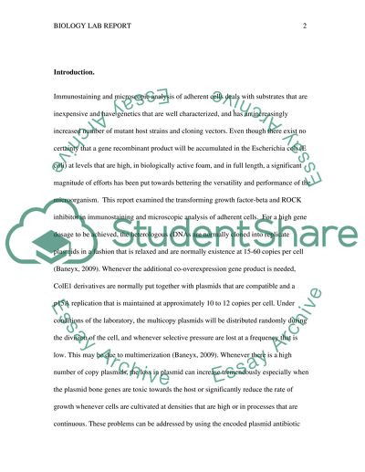 Transforming Growth Factor-beta and ROCK Inhibitor in Immunostaining