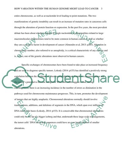 How Variation Within the Human Genome Might Lead to Cancer