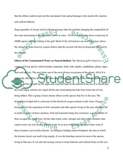 Oil Spill in The Gulf of Mexico