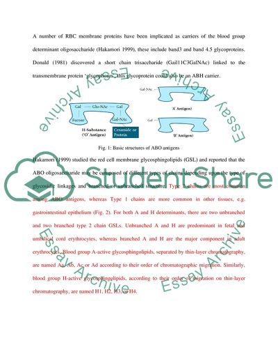 ABO blood group system Essays