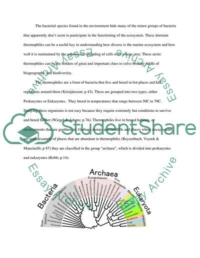 Biology and Technology at High Temperatures