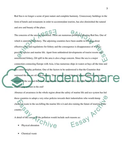 Egypts Red Sea under Threat from Pollution