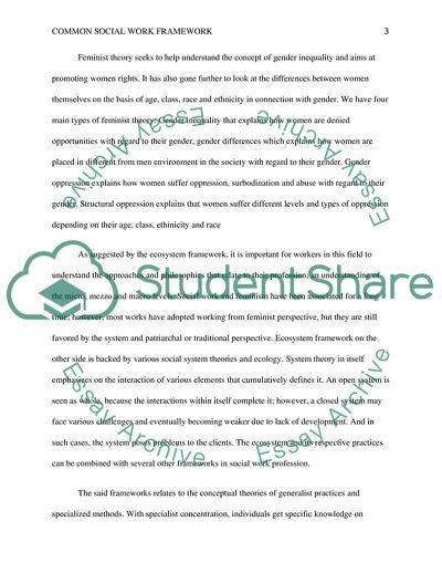 Common Social Work Framework