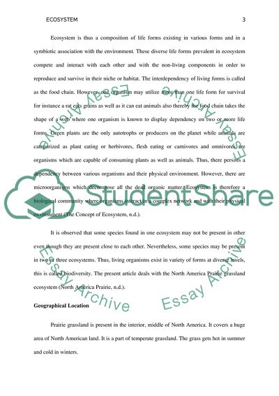 The Phenomenon of Ecosystems