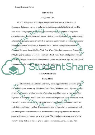 Group Roles and Norms