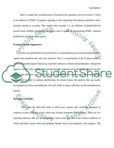 Cancer article review