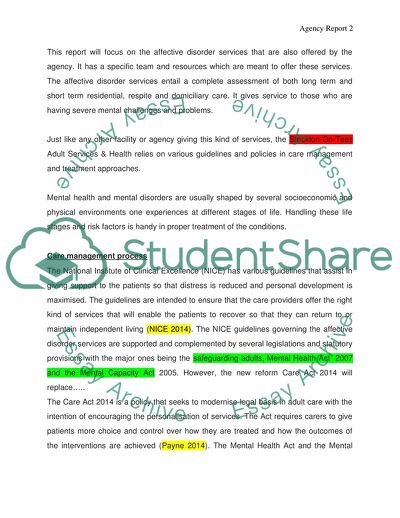 Agency Application of Social Policies