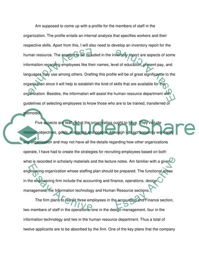 Staffing Plan for an Engineering Organization