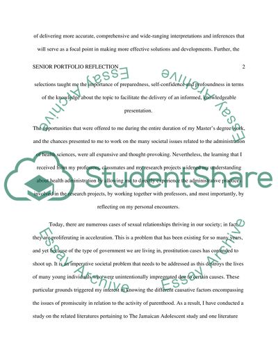 A Reflective on Senior Portfolio inTowson University