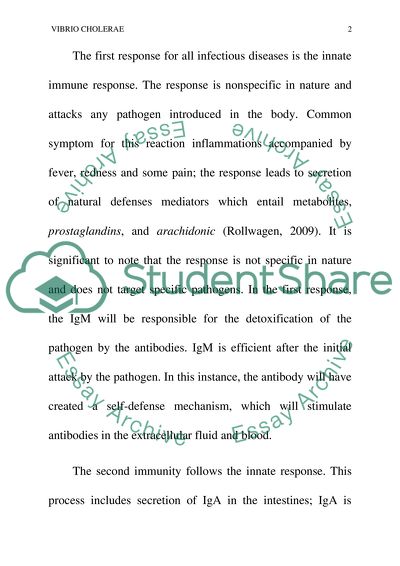 How does the immune system response to V.cholerae infection