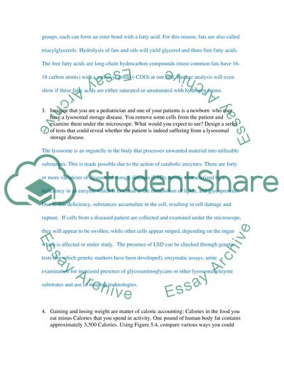 How Animals Obtain Energy
