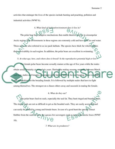 Interesting Facts about Polar Bears